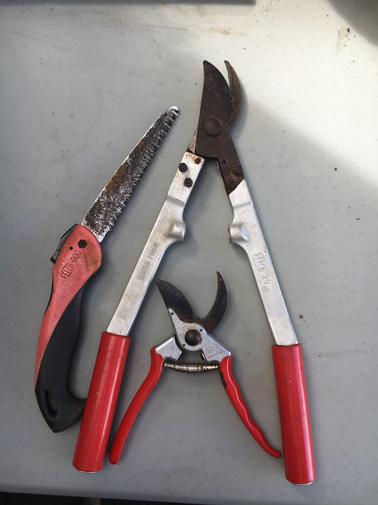 Felco Garden Pruner Tools Review