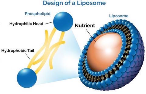 Vasayo-Liposome-Disruptive-Technology